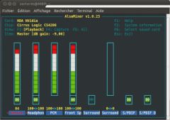 Ubuntu 10.10 - Alsamixer