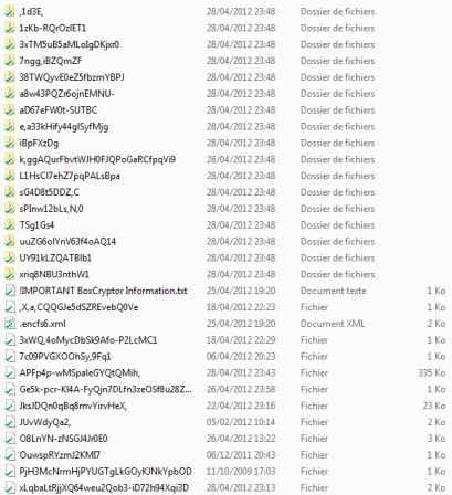 Conteneur BoxCryptor