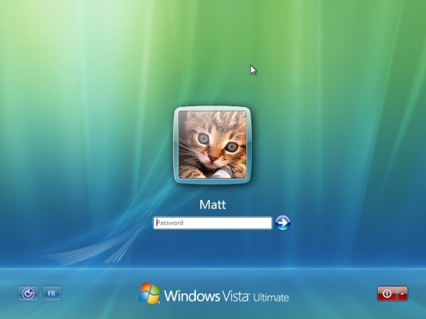 Windows Vista : quatorzième étape de l'installation / install's fourteenth step