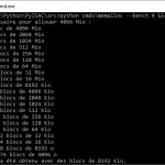 MemAlloc sous Windows